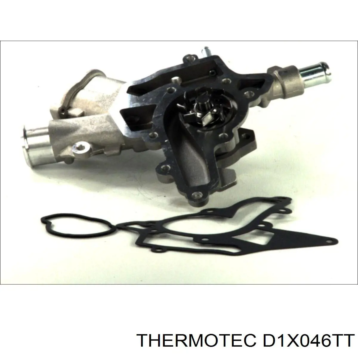 D1X046TT Thermotec bomba de agua