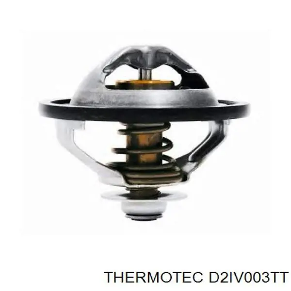 504380075 Iveco Termostato de agua