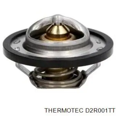 D2R001TT Thermotec termostato