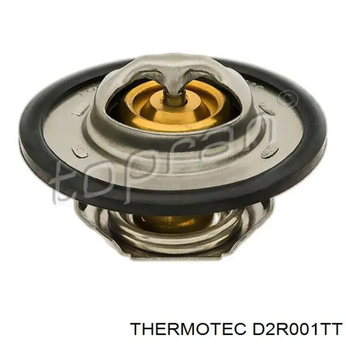 Termostato, refrigerante Renault Laguna 2 BG0, BG1