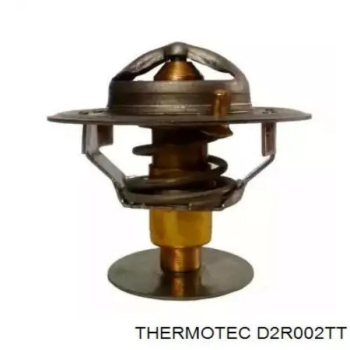 Caja de termostato D2R002TT Thermotec