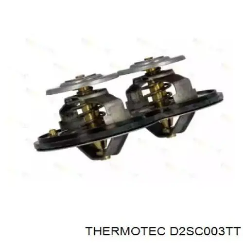 D2SC003TT Thermotec termostato