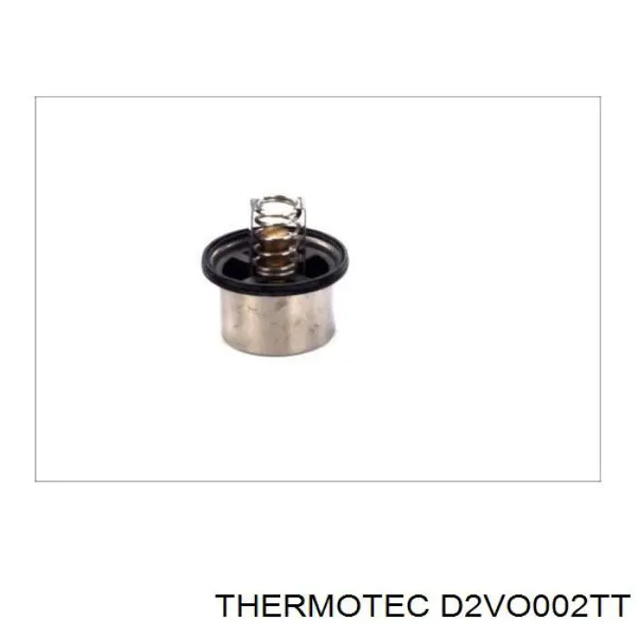 D2VO002TT Thermotec termostato