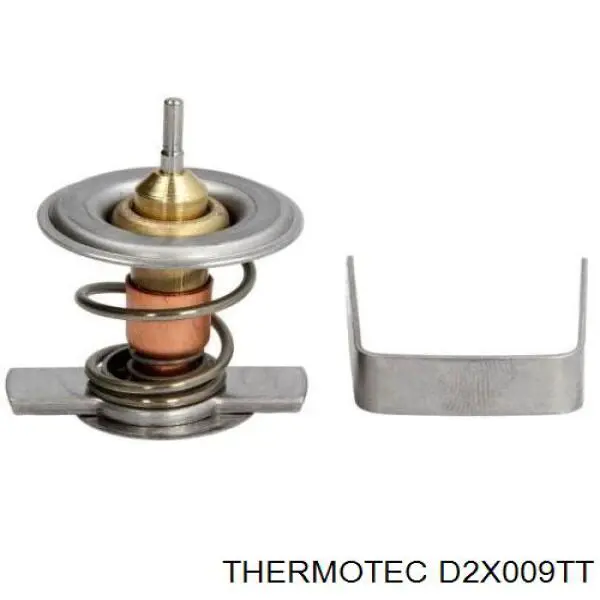 D2X009TT Thermotec termostato