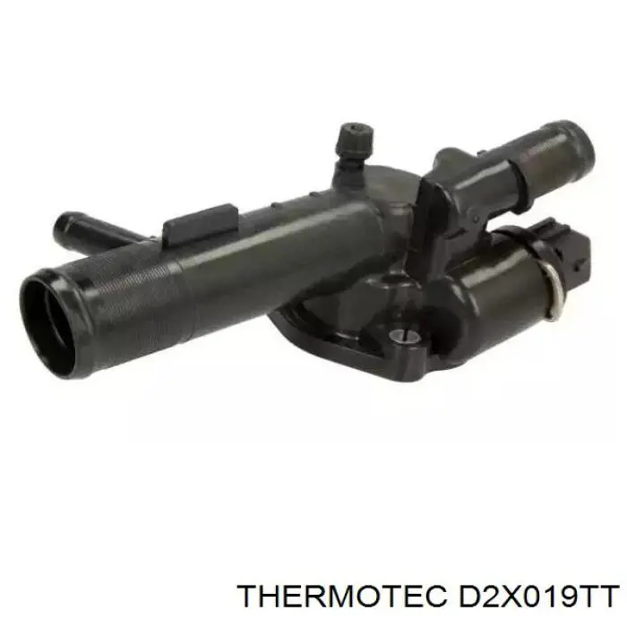 D2X019TT Thermotec termostato