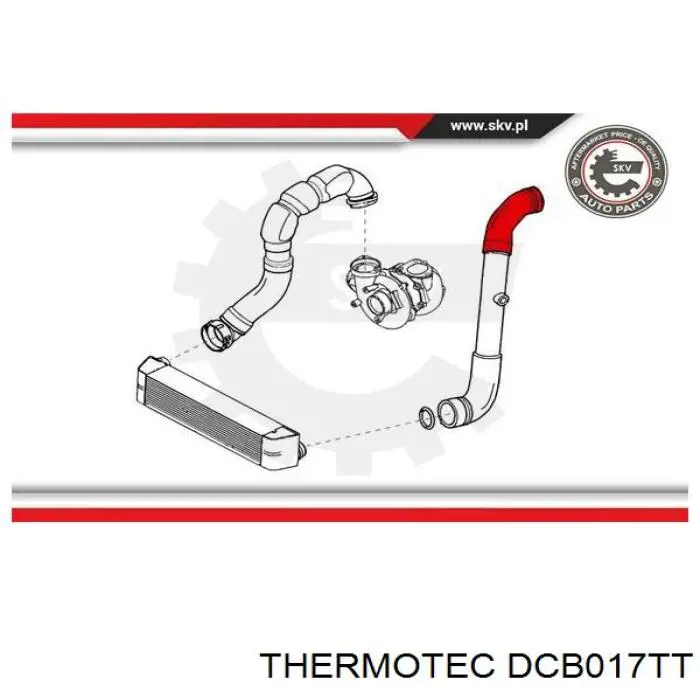 Comprar 206031 Cautex Tubo intercooler