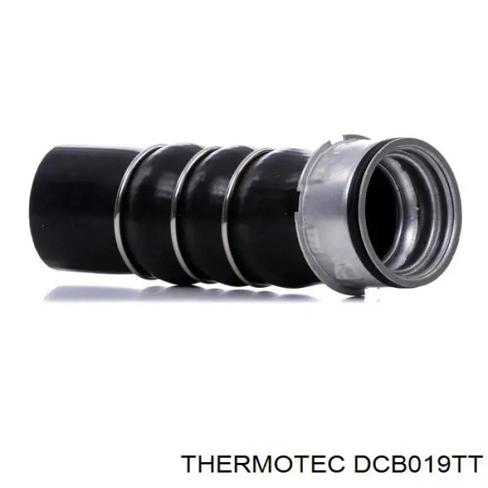 DCB019TT Thermotec tubo flexible de aire de sobrealimentación izquierdo