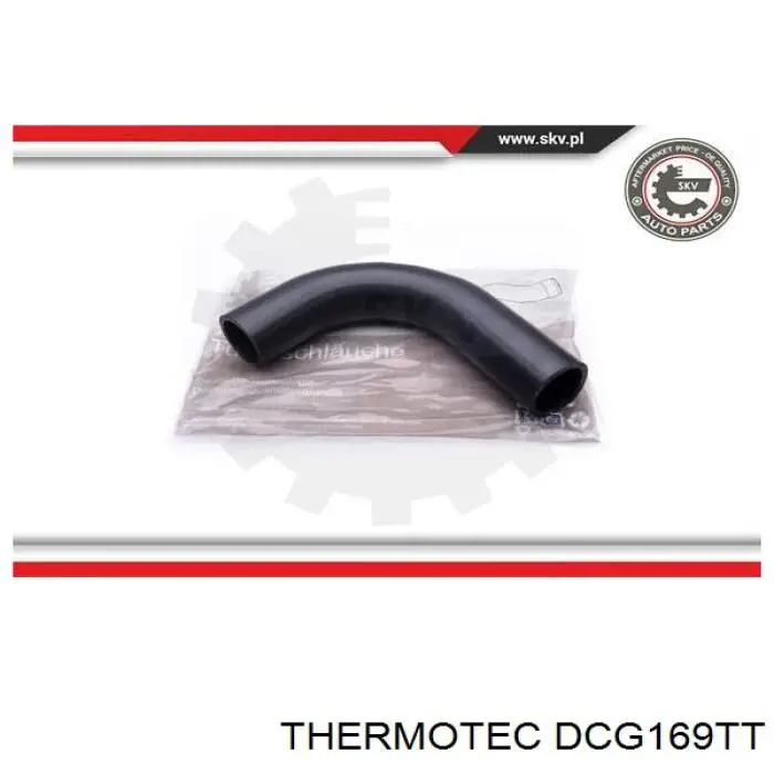 DCG169TT Thermotec