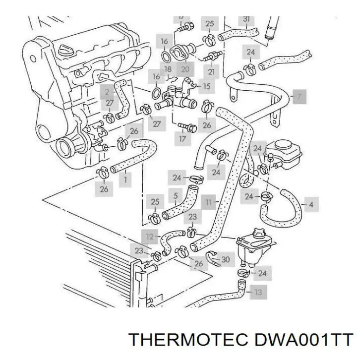 Manguera superior del radiador Thermotec DWA001TT precio, desde 22,75 EUR