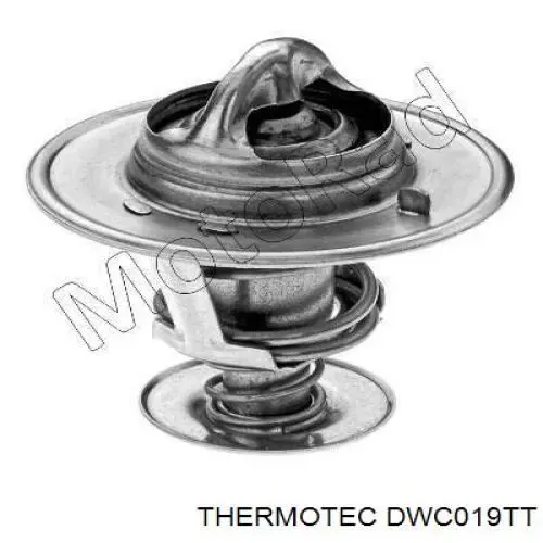 DWC019TT Thermotec manguera refrigerante para radiador inferiora