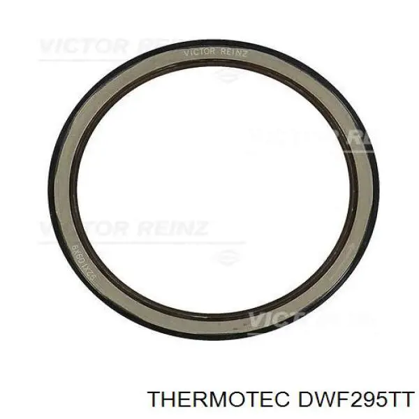 DWF295TT Thermotec manguera refrigerante para radiador inferiora