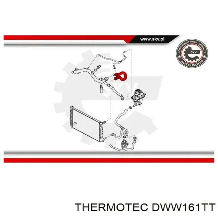 DWW161TT Thermotec tubería de radiador arriba