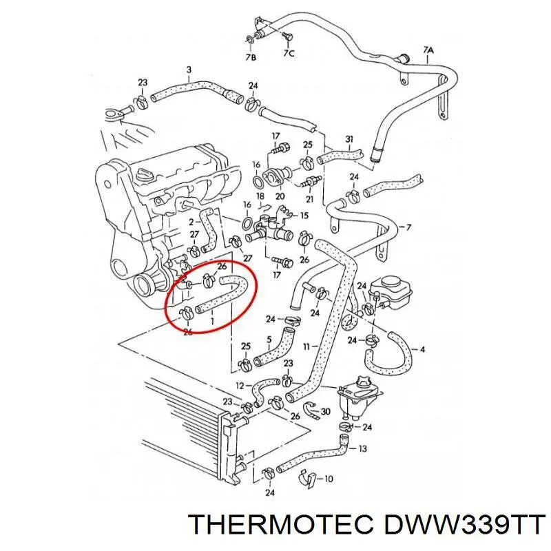 Manguera refrigerante para radiador inferiora Audi 80 (8C, B4)