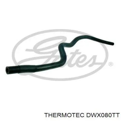 Comprar DWX080TT Thermotec Manguera inferior del radiador