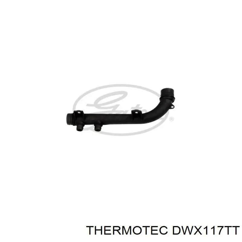 DWX117TT Thermotec manguera refrigerante para radiador inferiora