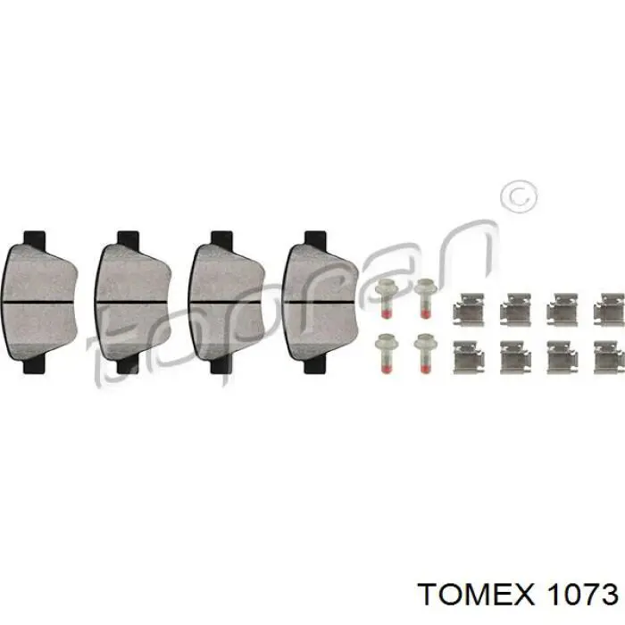 1073 Tomex