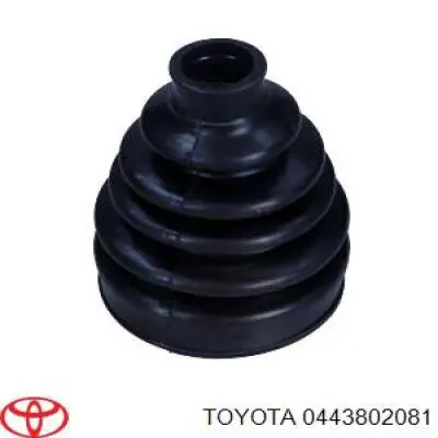 Juego de fuelles de junta homocinética delantera 36428 GKN-Spidan