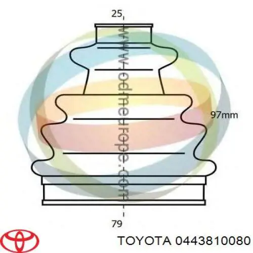 443810080 Toyota