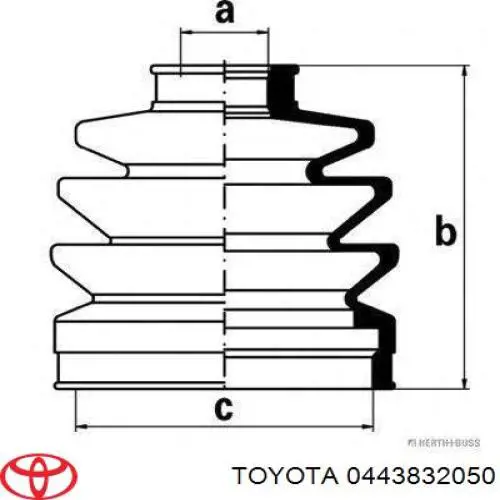 Fuelle, palier delantero exterior Toyota 443832050 precio, desde 169,91 EUR