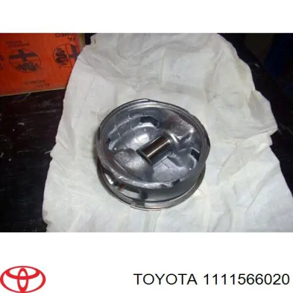 1111566031 Toyota junta de culata