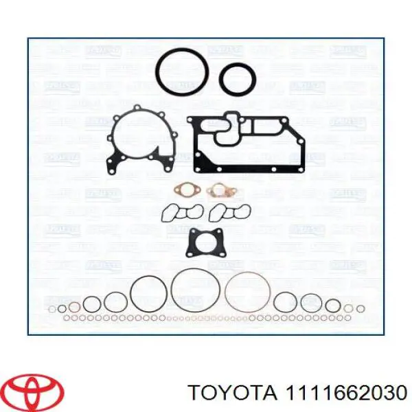 1111662030 Toyota junta de culata derecha
