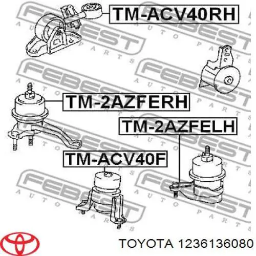 Soporte de motor delantero Toyota 1236136080 precio, desde 51,82 EUR