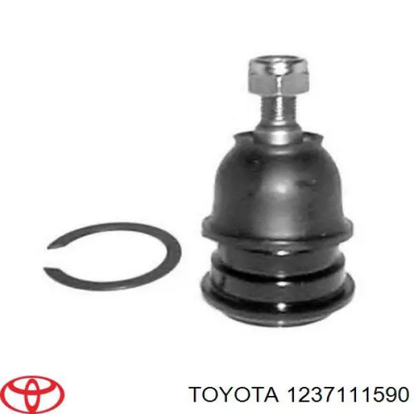 1237174360 GP Taco de motor