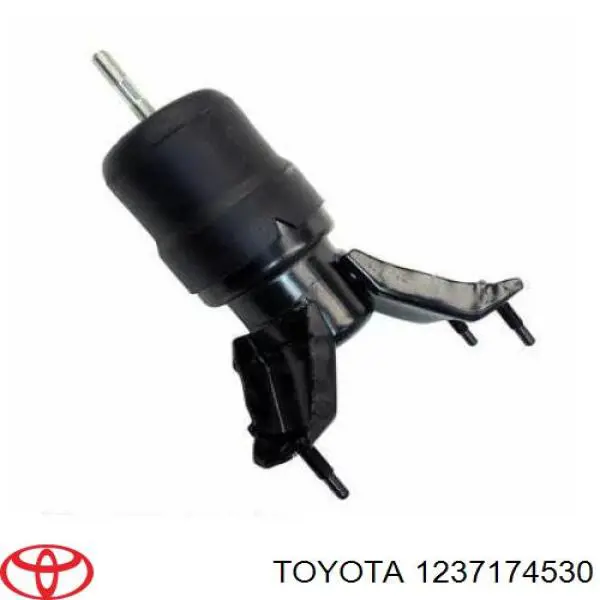 Soporte de motor trasero Toyota Camry (V20)