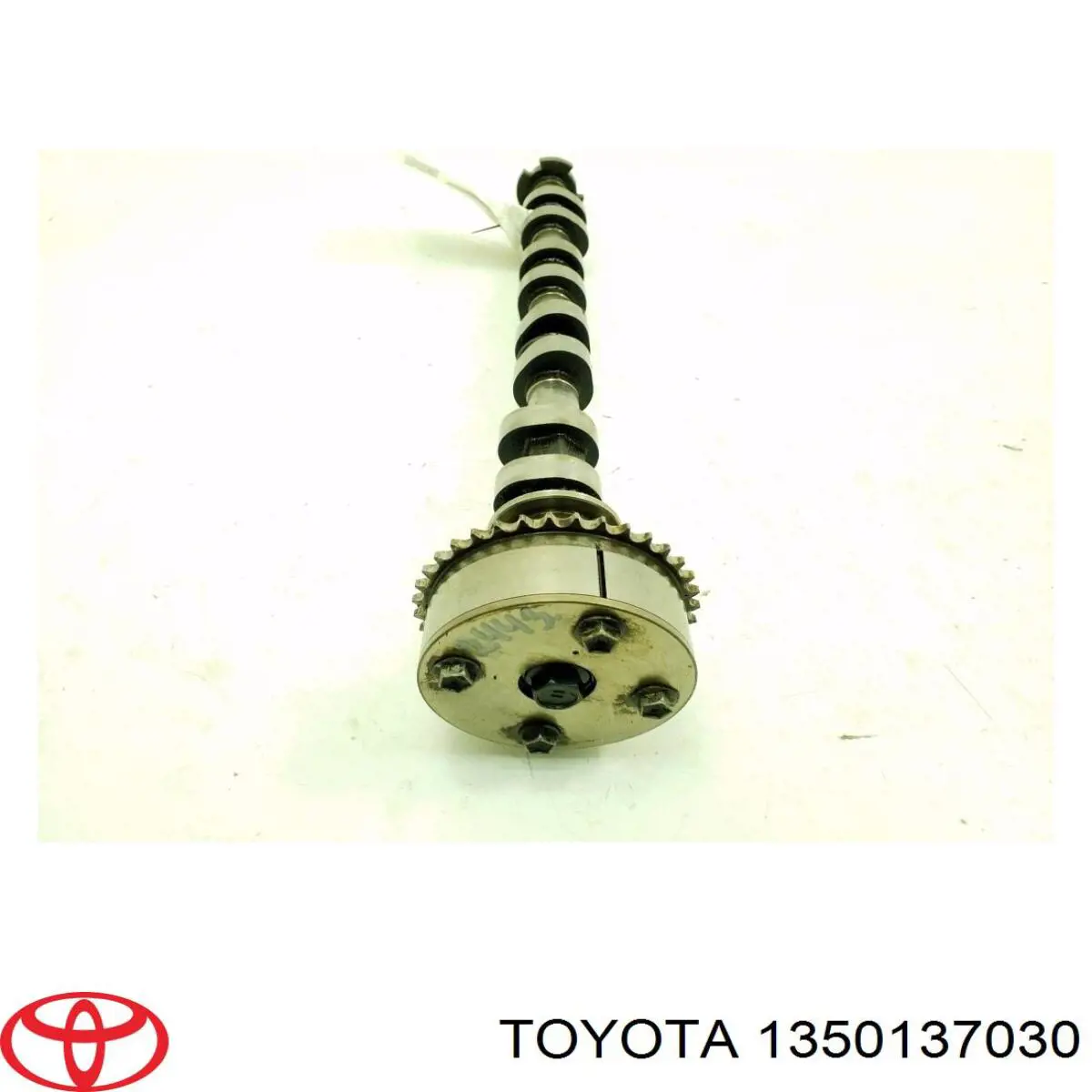 Árboles de levas Toyota 1350137030 precio, desde 174,24 EUR