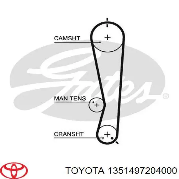 1351497204000 Toyota correa distribucion