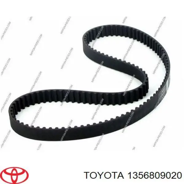 Comprar 1356809020 Toyota Correa distribución
