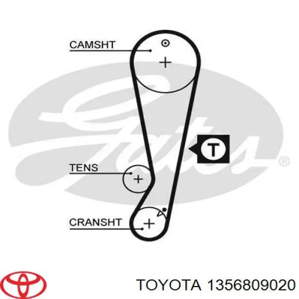 1356809020 Toyota correa distribucion