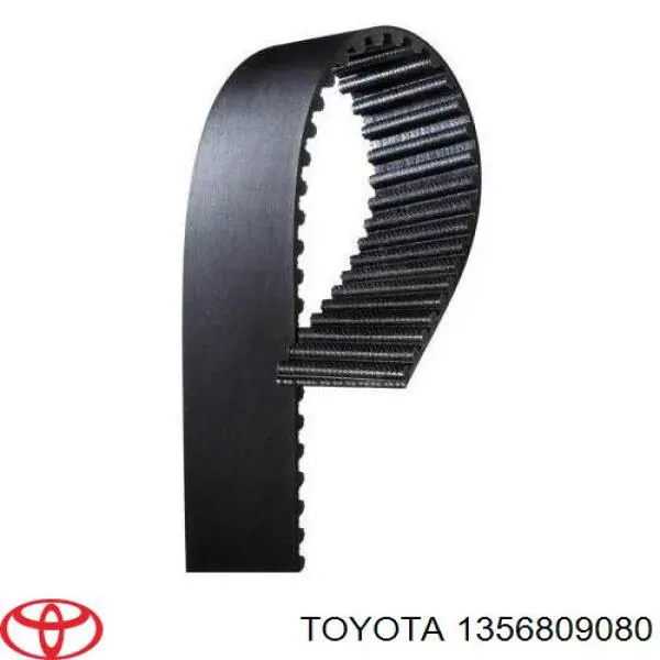 1356809080 Toyota correa distribucion