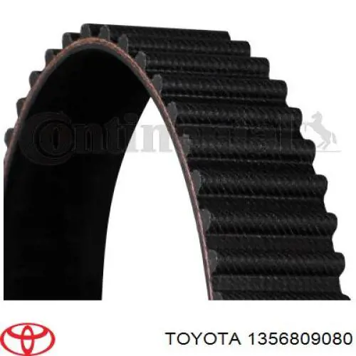 Comprar 1356809080 Toyota Correa distribución