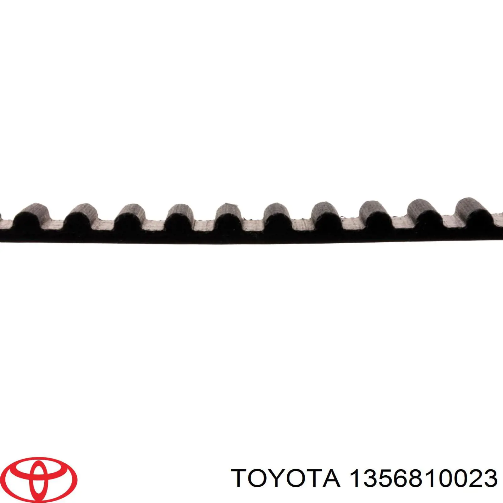 1356810023 Toyota correa distribución