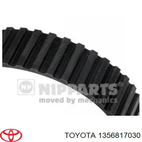 Correa distribución DD209 Japan Parts