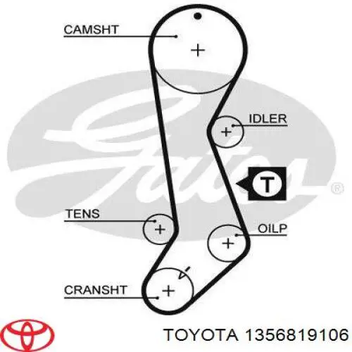 1356819106 Toyota correa distribucion