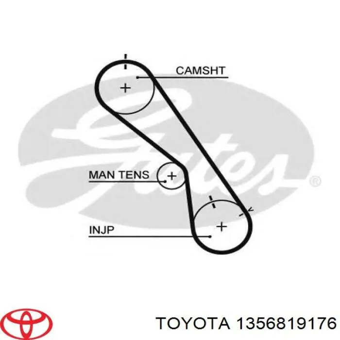 Comprar 1356819176 Toyota Correa distribución