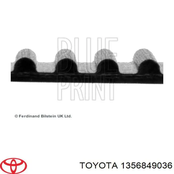 Correa distribución 1356849036 Toyota
