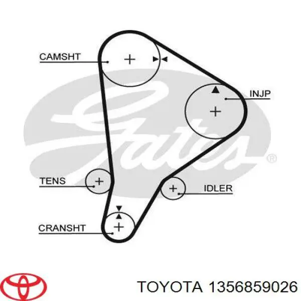 Comprar 1356859026 Toyota Correa distribución