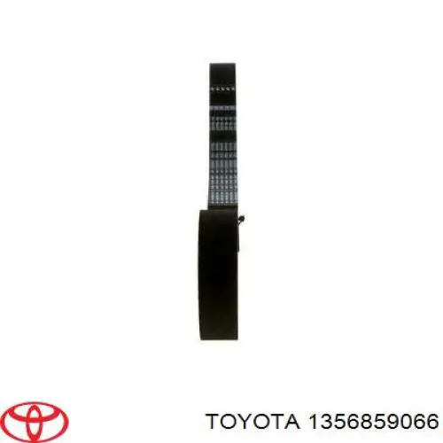 Comprar 1356859066 Toyota Correa distribución