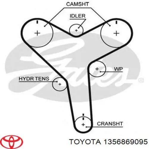 1356869095 Toyota Correa dentada