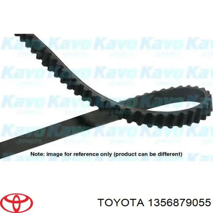 1356879055 Toyota correa distribución