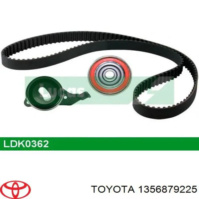 Correa distribución 1356879225 Toyota