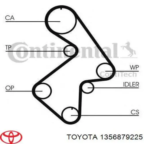 1356879225 Toyota correa distribución