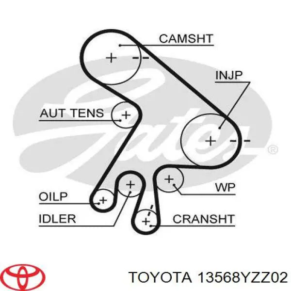 Correa de distribución Toyota 13568YZZ02 precio, desde 49,84 EUR