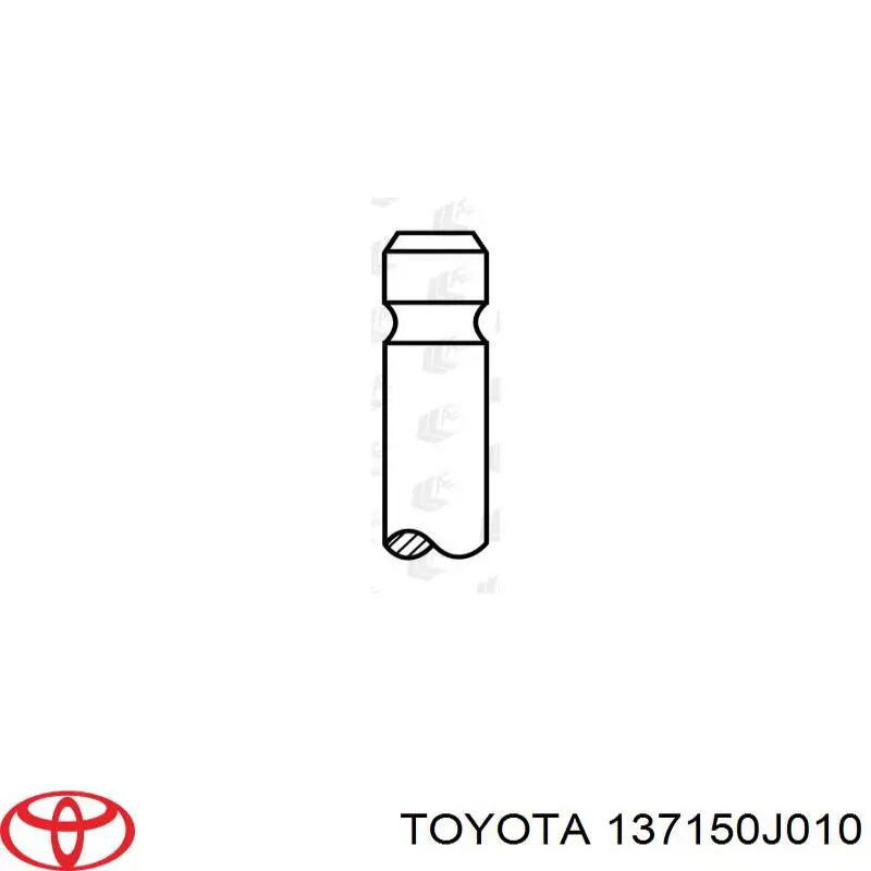 137150J010 Toyota