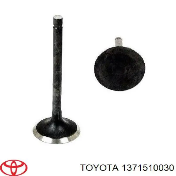 Válvula de escape para Toyota Corolla (E10)