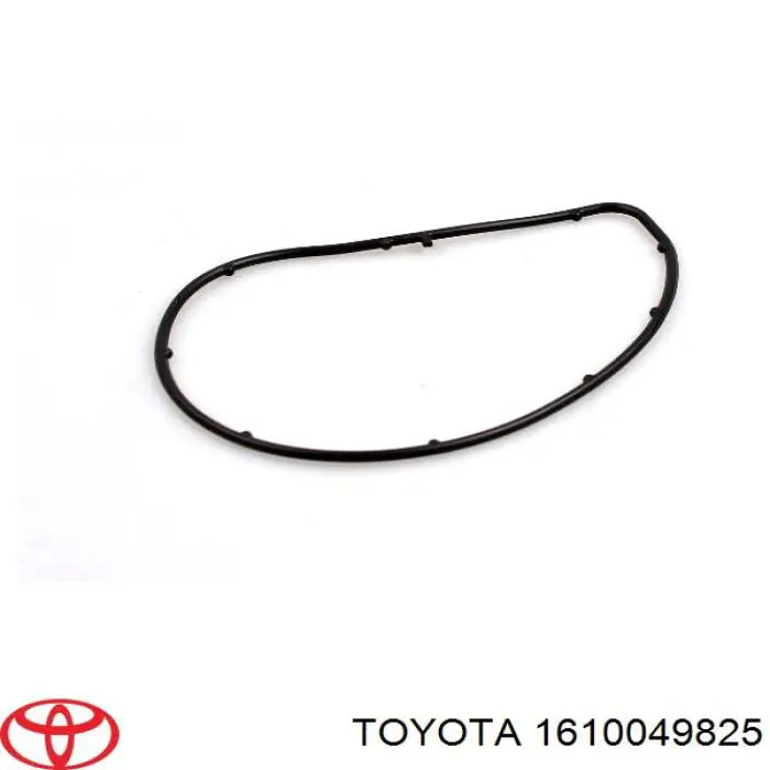 Motor de agua NPS T151A83