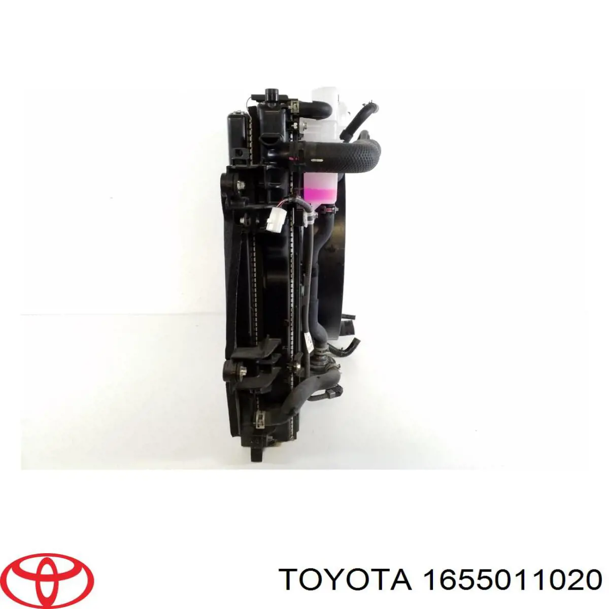 1655011020 Toyota